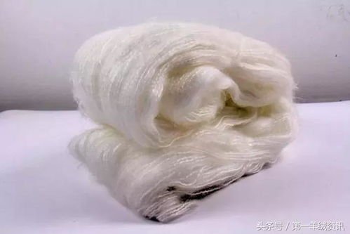 羊絨新聞直通車 2018.08.15