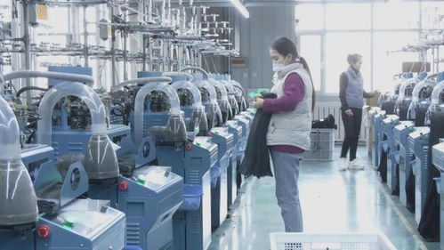 沙雅縣 立足棉花資源優勢 讓 白色 產業大有可為