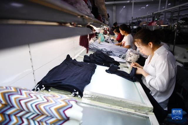 寧夏靈武:羊絨產(chǎn)業(yè)提質(zhì)增效