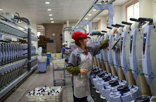 大竹縣依托優(yōu)質(zhì)苧麻資源做強(qiáng)紡織產(chǎn)業(yè)