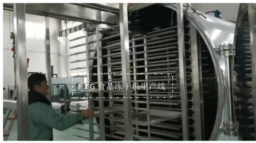 大型食品凍干機果蔬生產線解決方案