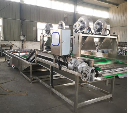 迪凱石榴產(chǎn)品清洗加工流水線設(shè)備調(diào)試完成