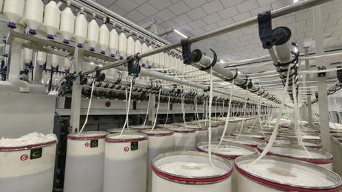 巴楚縣紡織產(chǎn)業(yè)推動(dòng)棉花全產(chǎn)業(yè)鏈高質(zhì)量發(fā)展