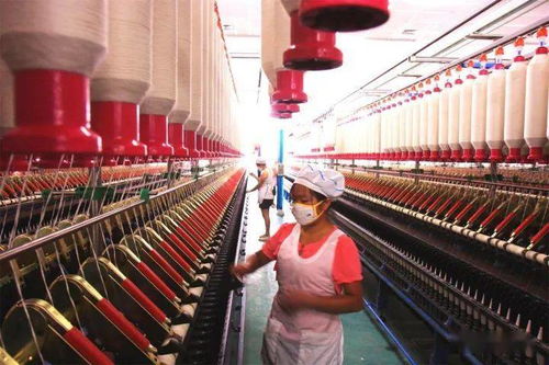 贊 我縣榮獲全省鄉(xiāng)村振興戰(zhàn)略實績考核全市唯一優(yōu)秀單位