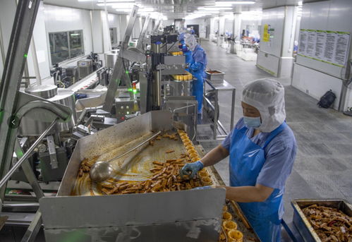 食品加工業(yè)