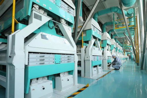 大名上榜 2024年度河北省中小企業(yè)特色產(chǎn)業(yè)集群名單公布