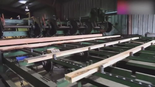 自動(dòng)化木材加工廠,整棵原木進(jìn)去出來(lái)就是木板