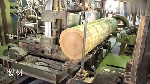 這是我見(jiàn)過(guò)最滿意的日本木材加工廠,難得一見(jiàn)的大場(chǎng)面