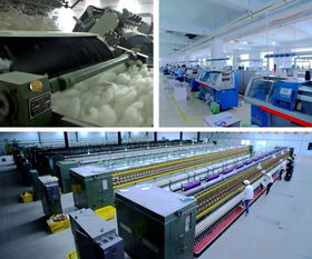 韓愷縣長做客 中國推介 ,讓世界了解清河