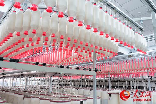 向 新 而行, 疆 更美好