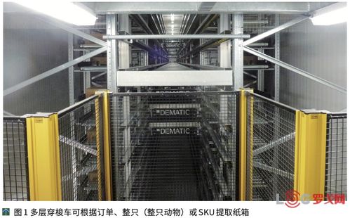 澳大利亞ncmc肉類加工廠提高公司競爭力的秘訣 自動化物流系統
