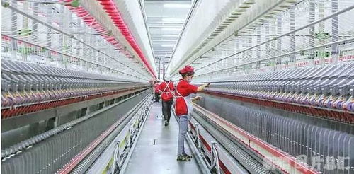 脫貧有底氣,增收有希望 新疆扎實推進就業扶貧