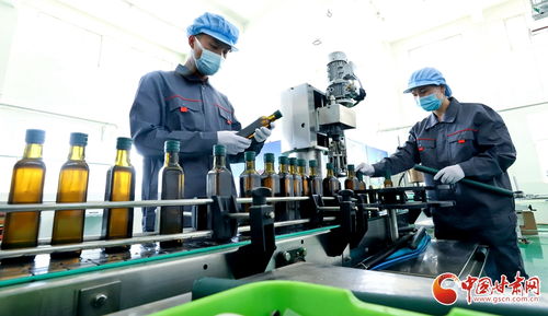 高臺(tái) 做強(qiáng)農(nóng)產(chǎn)品精深加工產(chǎn)業(yè) 鏈