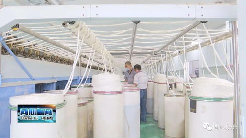 下馬關(guān)鎮(zhèn)三山井村扶貧車間開業(yè)了