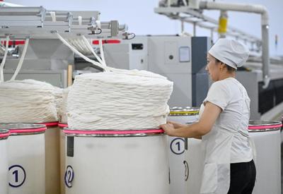 新疆阿圖什:新疆棉撬動就業(yè)弦