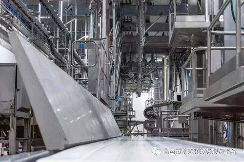 重點項目巡禮之山東雅拉生態(tài)食品產(chǎn)業(yè)園 生產(chǎn)連續(xù)化 加工專業(yè)化 銷售高端化 布局產(chǎn)業(yè)化再創(chuàng)新高