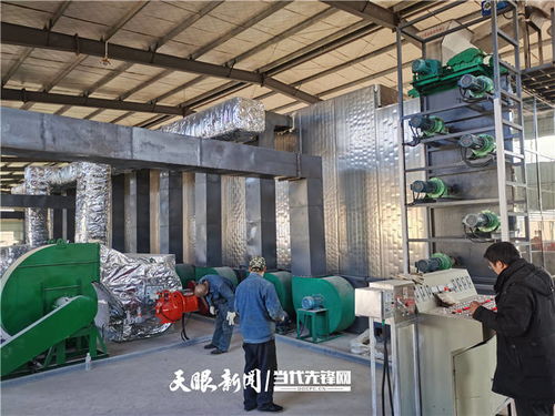 施秉 萬(wàn)畝魔芋產(chǎn)業(yè)升級(jí)，深加工與紡紗雙輪驅(qū)動(dòng)