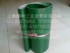 印染加工中的無(wú)毒輸送帶 果蔬加工設(shè)備的核心保障